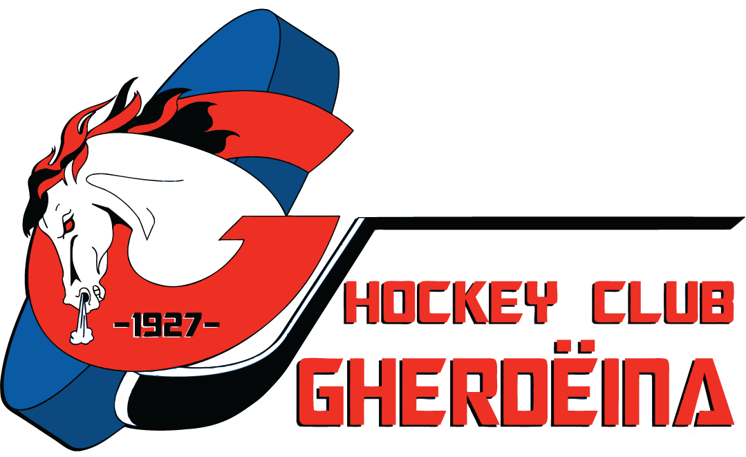 HC Gherdeina 2016-Pres Primary Logo iron on transfers for clothing